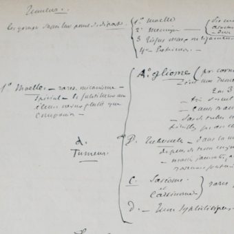 DSC_3305 (2) DSC_3305 (2)