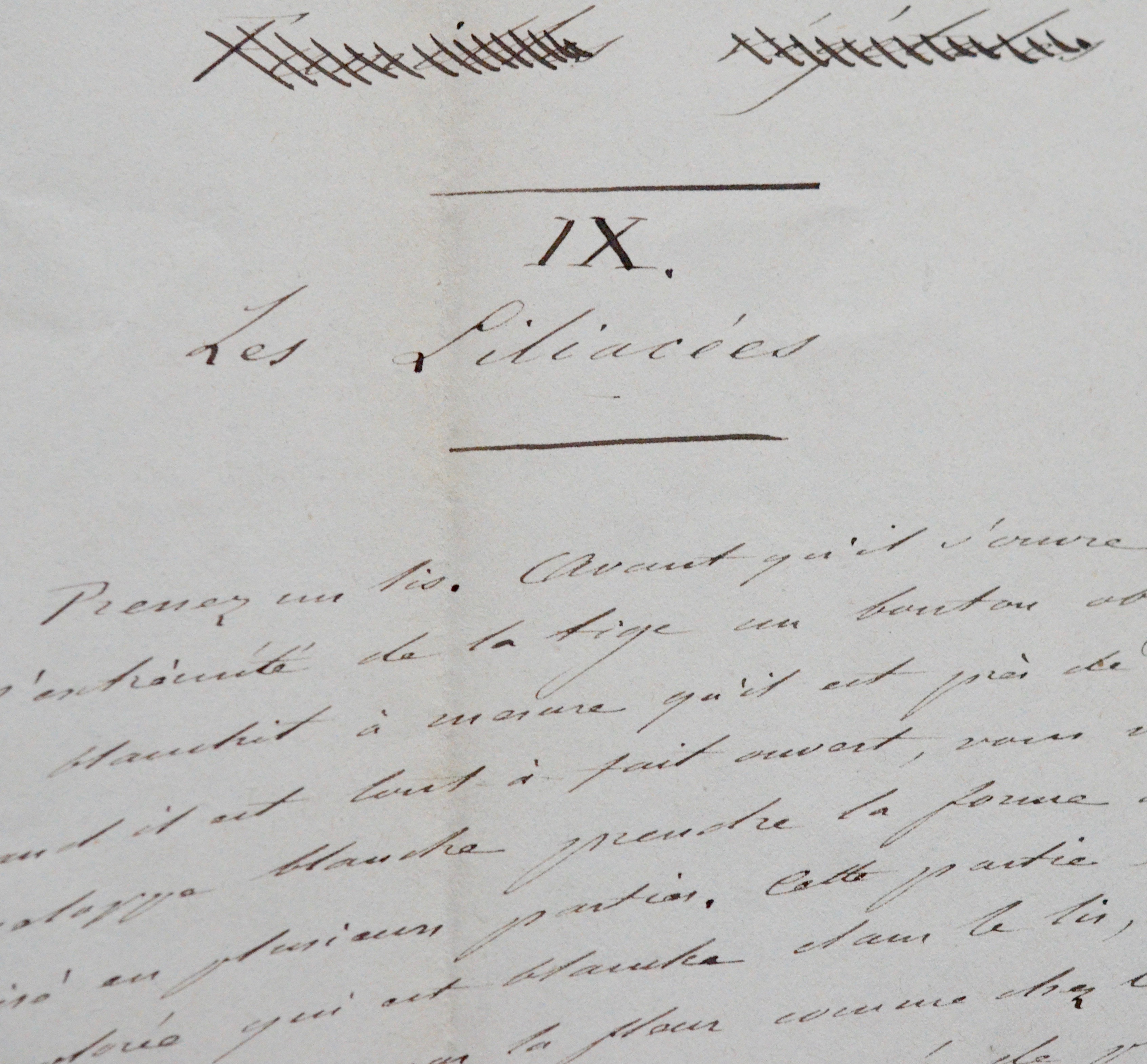 L’entomologiste Jean-Henri Fabre reprend un texte de J.-J. Rousseau sur les Liliacées