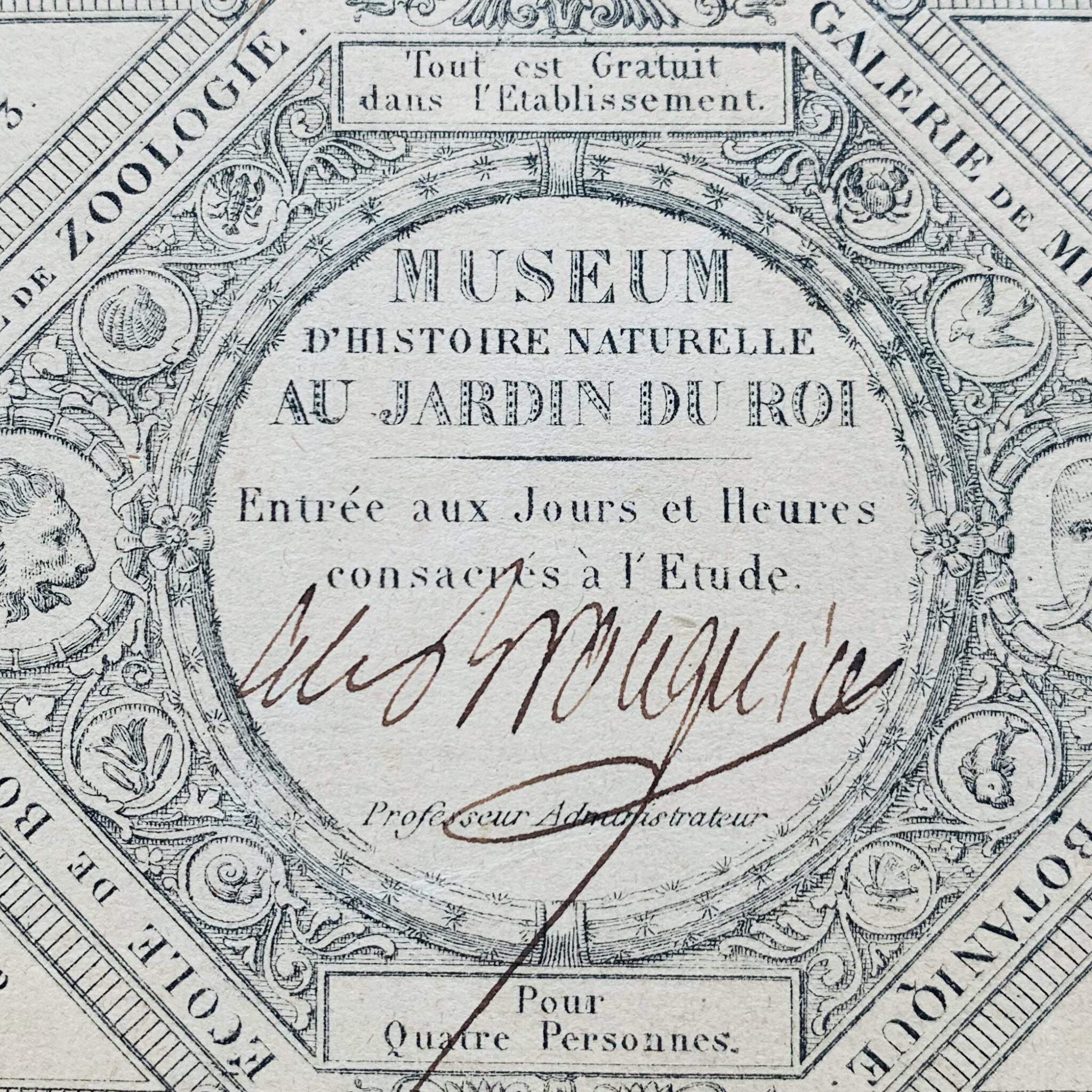 Carte d’entrée au Muséum signée par Alexandre Brongniart
