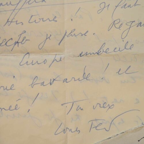 L'attacco feroce di Céline all'Europa, definita "stupida, marcia, chiacchierona e persa".