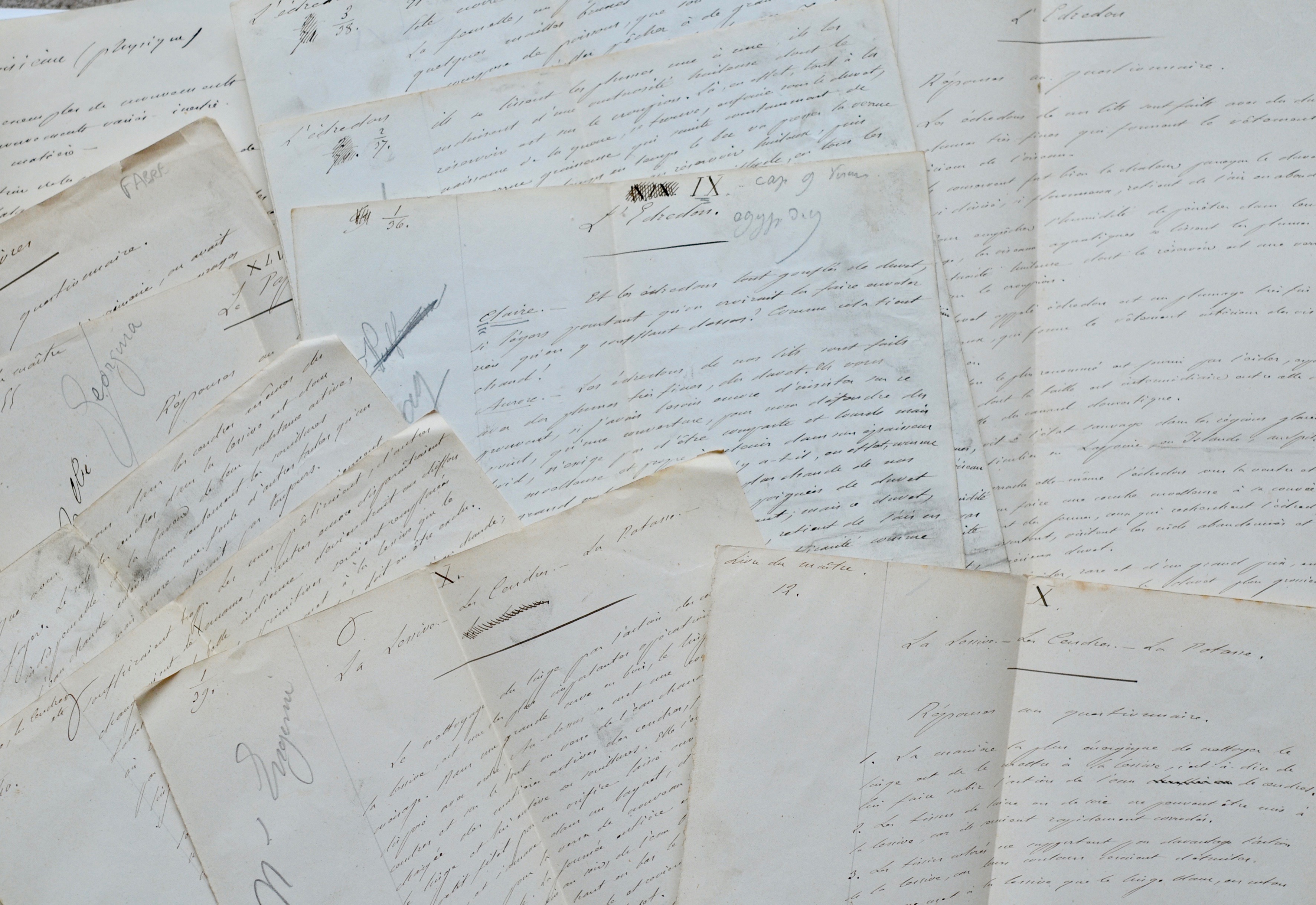 Ensemble de 7 manuscrits de Jean-Henri Fabre