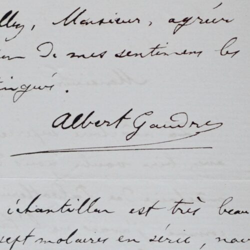 Gaudry et la mâchoire du Palaeotherium magnum