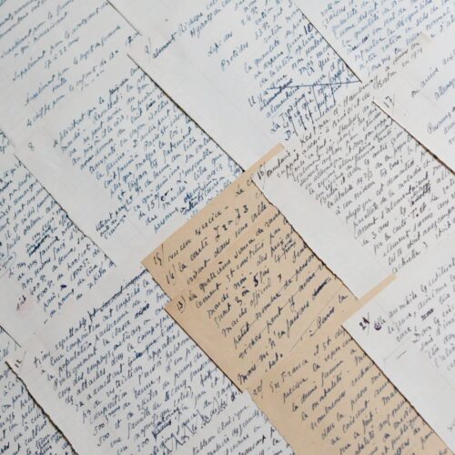 Important manuscrit de Charles Richet fils, "État actuel de l’alimentation"
