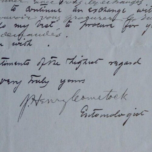 L'entomologiste américain John Henry Comstock ne peut fournir les insectes recherchés par son ami