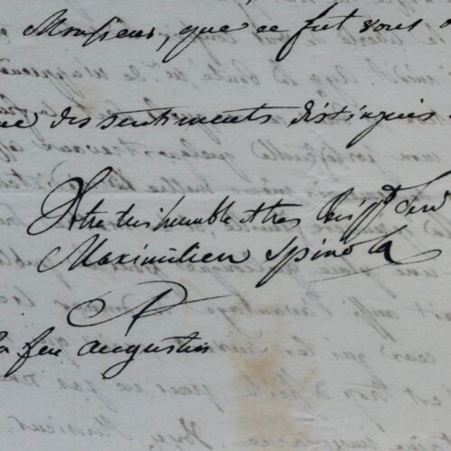 Belle lettre de l'entomologiste italien Massimiliano Spinola sur sa collection de coléoptères