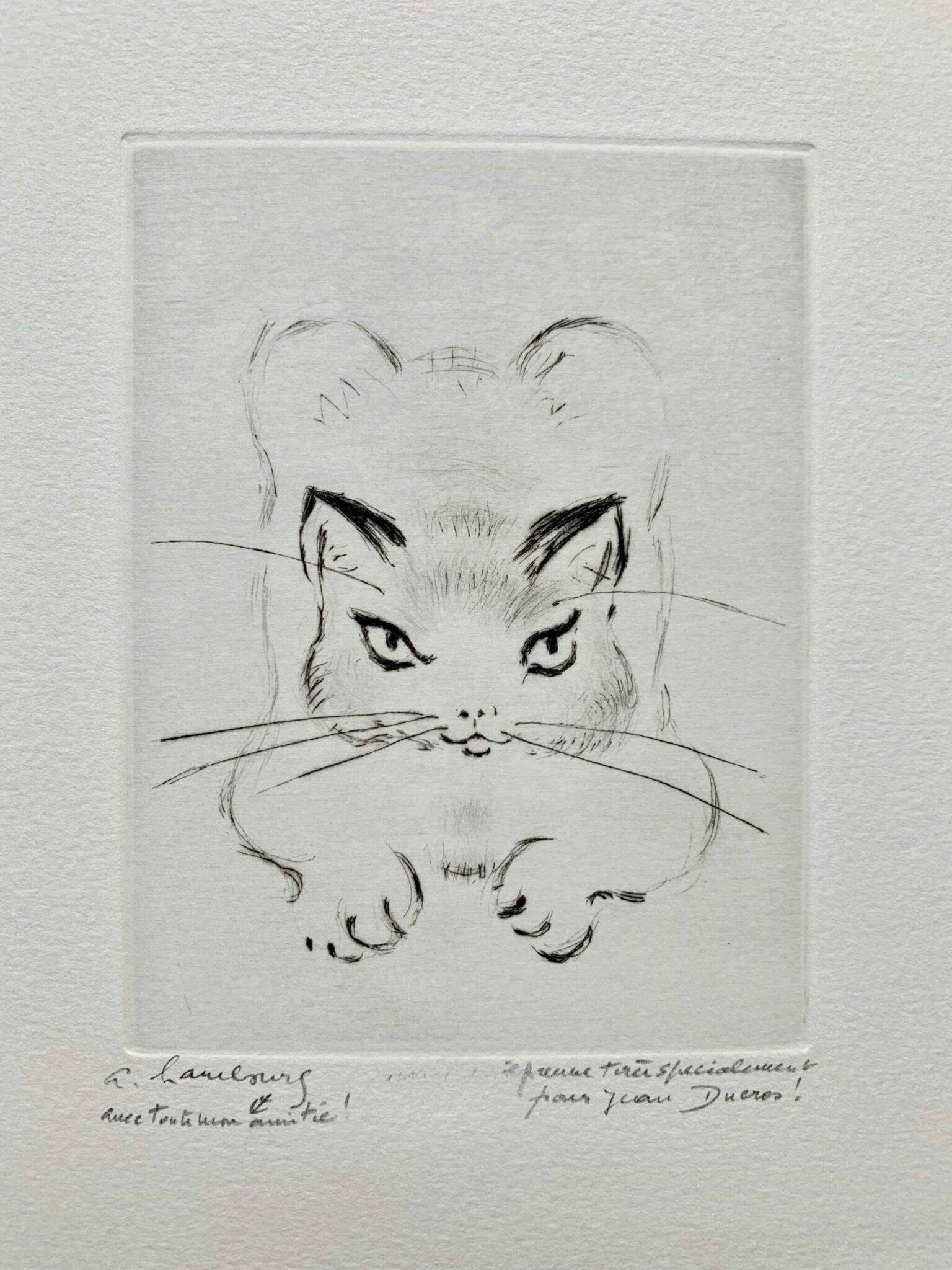 Lettre d’André Hambourg illustrée d’une eau-forte originale d’un chat