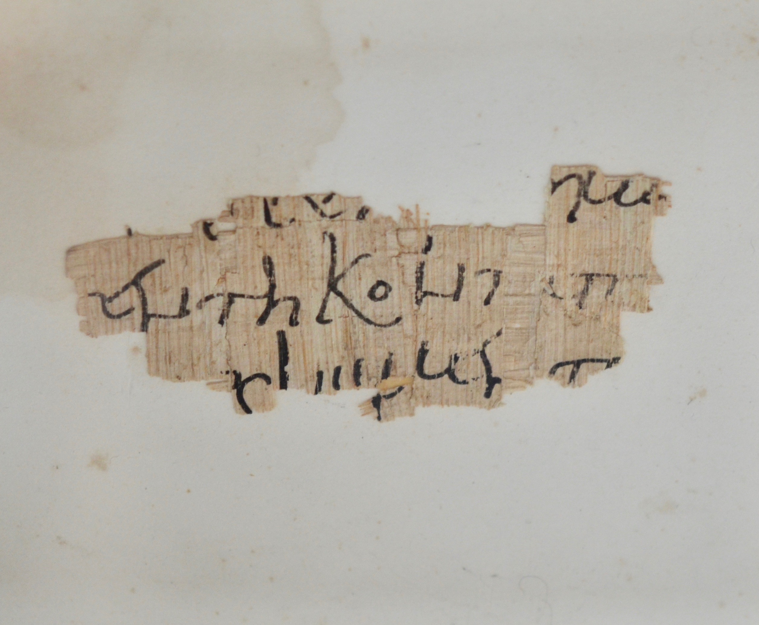 Fragment de papyrus égyptien, en grec, datant Ve siècle après J.C.