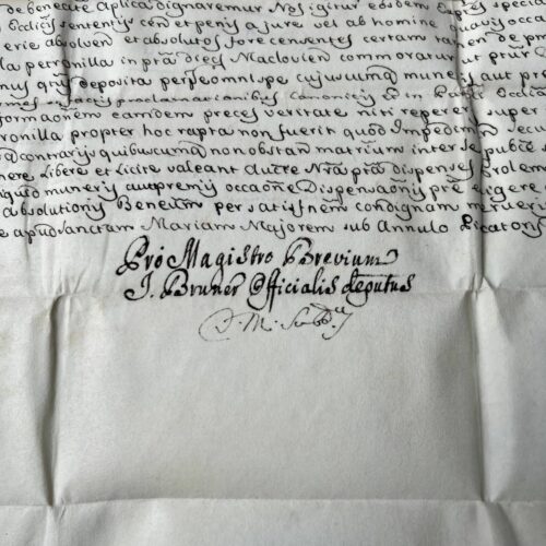 Dispensa concedida por el Papa Pío VI al Obispo de Saint-Malo para un matrimonio entre parientes de segundo grado