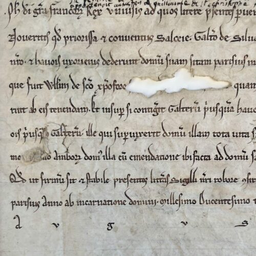 Superbe charte de 1203 concernant le prieuré Notre-Dame de La Saussaye (près de Villejuif)