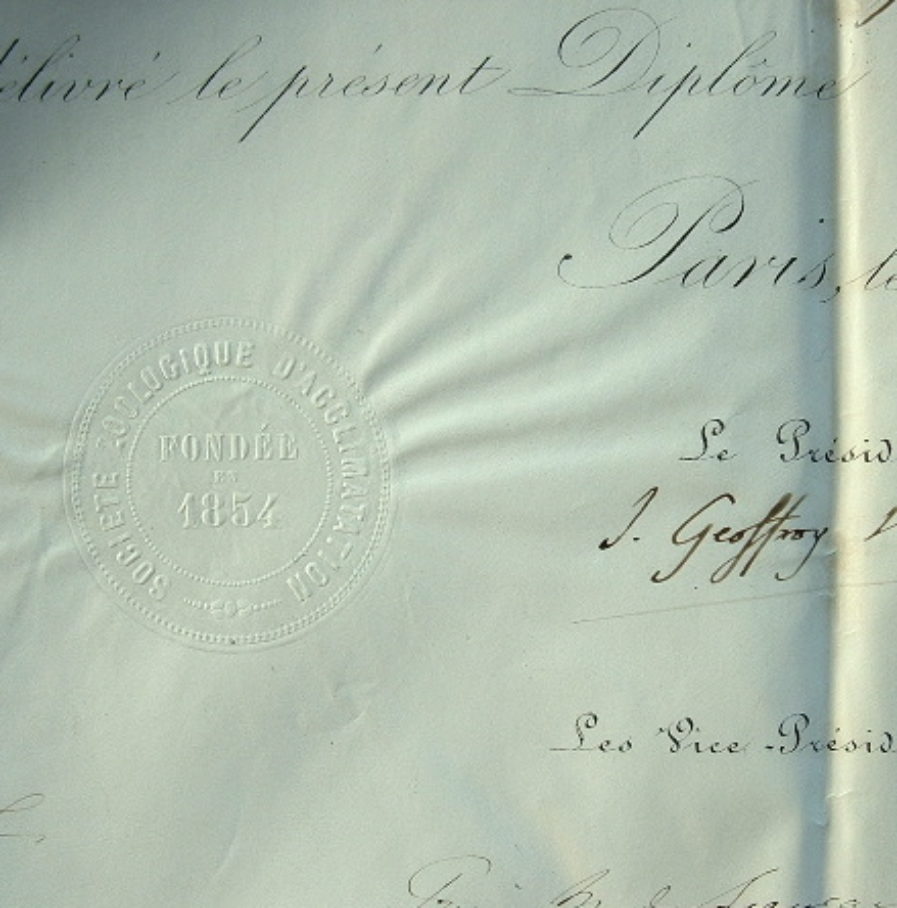 Diplôme de la Société Zoologique d’Acclimatation.